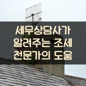세무상담사가 알려주는 조세 전문가의 도움