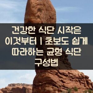 건강한 식단 시작은 이것부터｜초보도 쉽게 따라하는 균형 식단 구성법