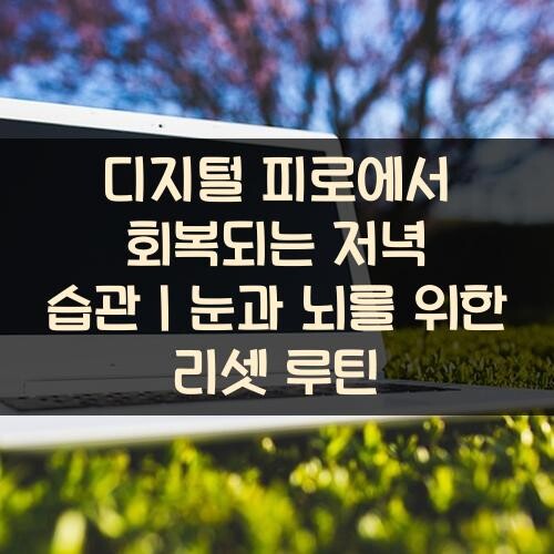 디지털 피로에서 회복되는 저녁 습관｜눈과 뇌를 위한 리셋 루틴