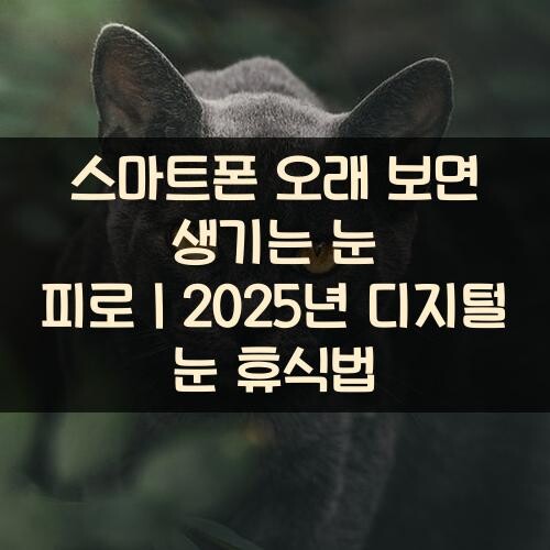 스마트폰 오래 보면 생기는 눈 피로｜2025년 디지털 눈 휴식법