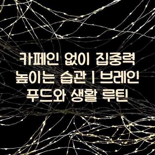 카페인 없이 집중력 높이는 습관｜브레인 푸드와 생활 루틴
