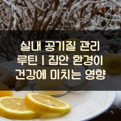 실내 공기질 관리 루틴｜집안 환경이 건강에 미치는 영향