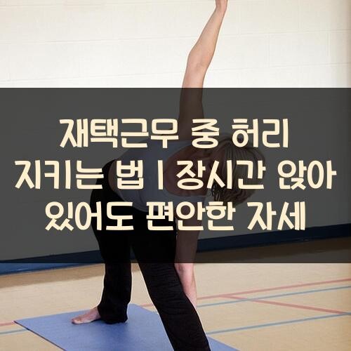 재택근무 중 허리 지키는 법｜장시간 앉아 있어도 편안한 자세