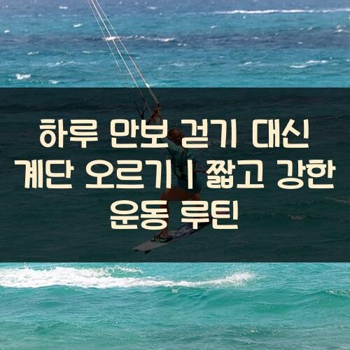 하루 만보 걷기 대신 계단 오르기｜짧고 강한 운동 루틴