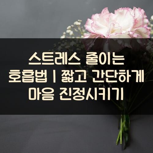 스트레스 줄이는 호흡법｜짧고 간단하게 마음 진정시키기