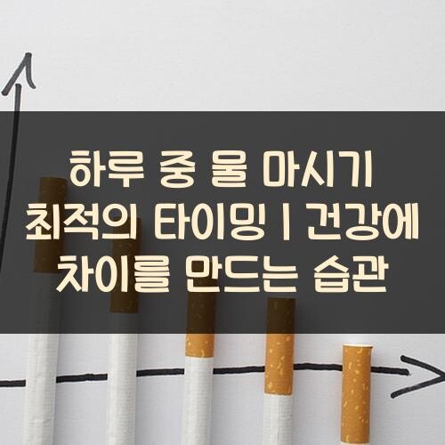 하루 중 물 마시기 최적의 타이밍｜건강에 차이를 만드는 습관