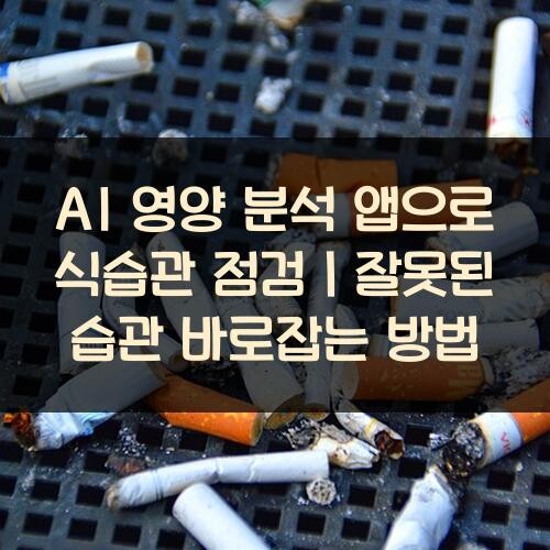AI 영양 분석 앱으로 식습관 점검｜잘못된 습관 바로잡는 방법
