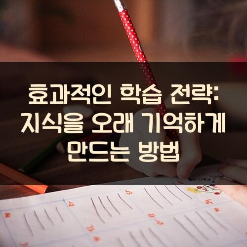 효과적인 학습 전략: 지식을 오래 기억하게 만드는 방법