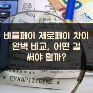 비플페이 제로페이 차이 완벽 비교, 어떤 걸 써야 할까?