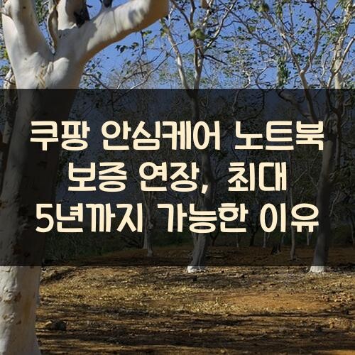 쿠팡 안심케어 노트북 보증 연장, 최대 5년까지 가능한 이유