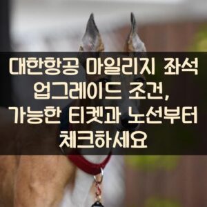 대한항공 마일리지 좌석 업그레이드 조건, 가능한 티켓과 노선부터 체크하세요