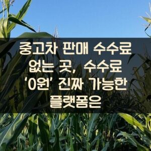 중고차 판매 수수료 없는 곳, 수수료 ‘0원’ 진짜 가능한 플랫폼은?