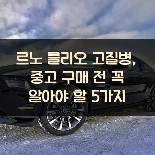 르노 클리오 고질병, 중고 구매 전 꼭 알아야 할 5가지